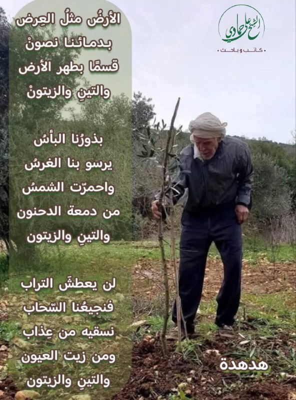الشّيخ علي حمادي العاملي