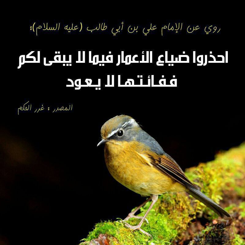 ***⌛*** *تضييع العمر!!*
