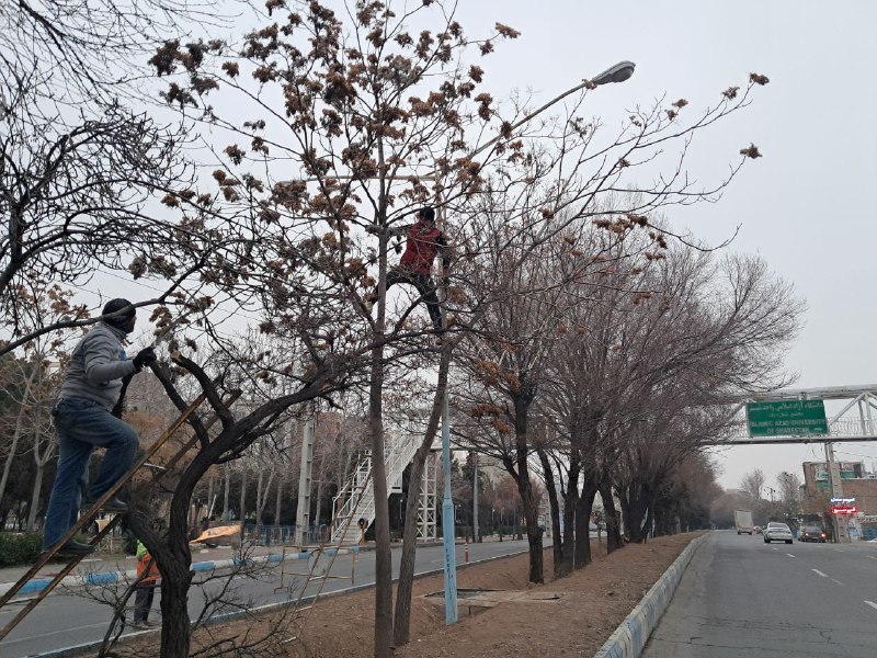 شهرداری و شورای اسلامی شبستر