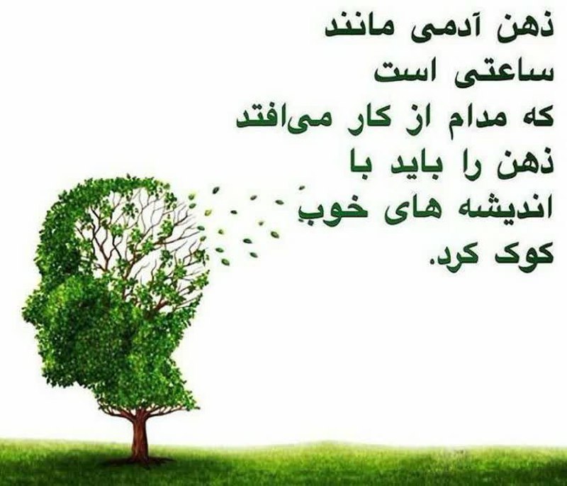 ***✨***10 نکته برای تقویت ذهن