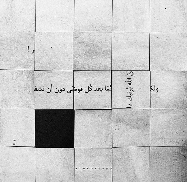 Videos & Photos | شغف