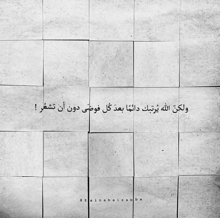 Videos & Photos | شغف
