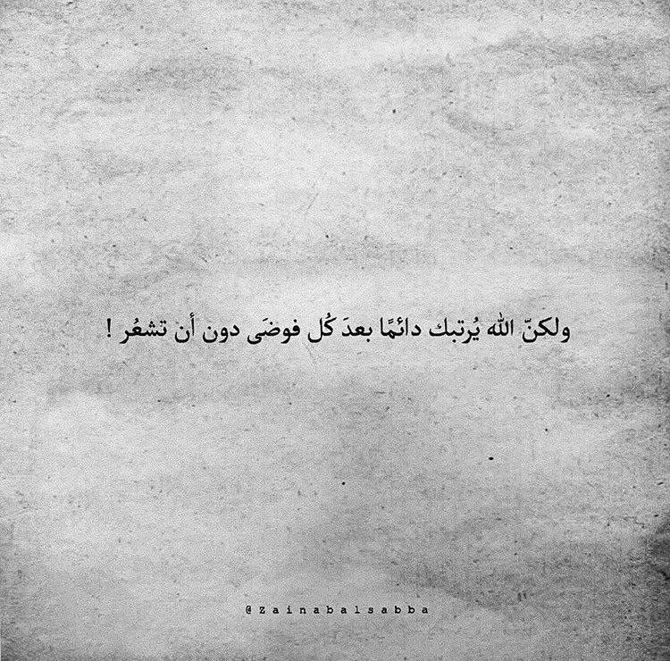 Videos & Photos | شغف