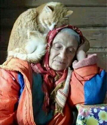 گر تو نباشی یار من گشت …