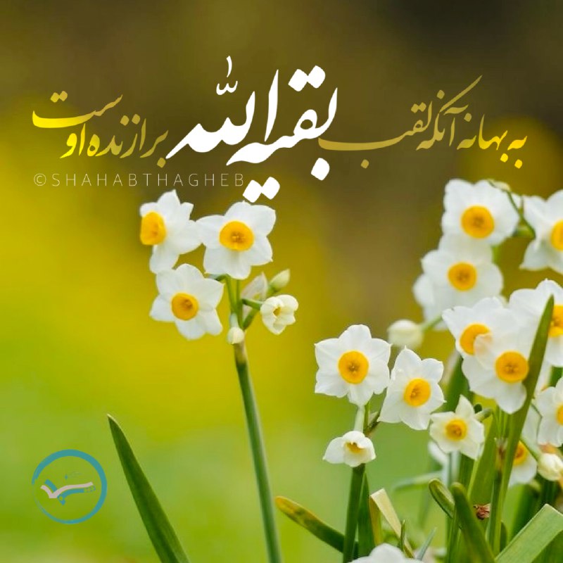 ***❓*****آیا تفسیر عبارت بقیّة‌الله به حضرت …