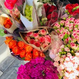 يوميات طالبة طِب "