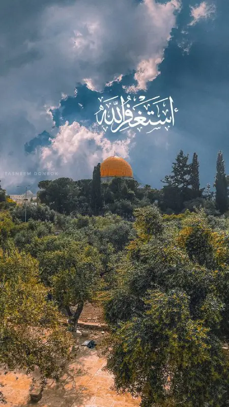 شه?"ـيــد قيدالانتظــــاࢪ ?❤️?