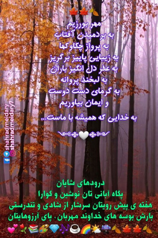 شهراد میدری