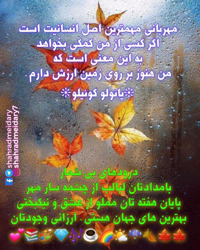 شهراد میدری