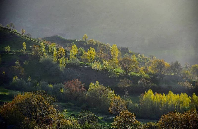 ***?*** امروز چهارشنبه