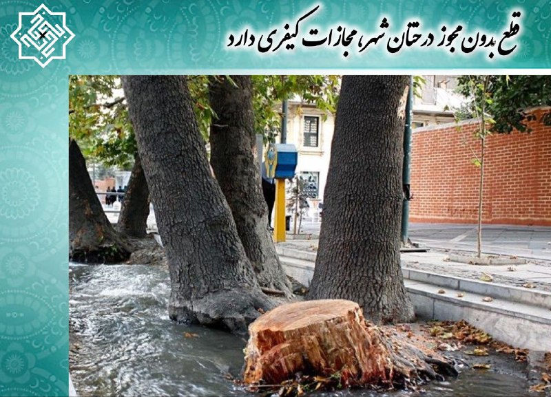 ***?*** چهارشنبه ۳ بهمن ۱۴۰۳؛
