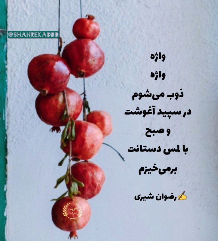 **واژه