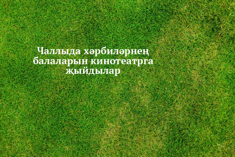 **Чаллыда хәрбиләрнең балаларын кинотеатрга җыйдылар:** [**https://shahrichalli.ru/news/kich-bgen-irtg/callyda-xarbilarnen-balalary-buska-kinoteatrga-bardy**](https://shahrichalli.ru/news/kich-bgen-irtg/callyda-xarbilarnen-balalary-buska-kinoteatrga-bardy)