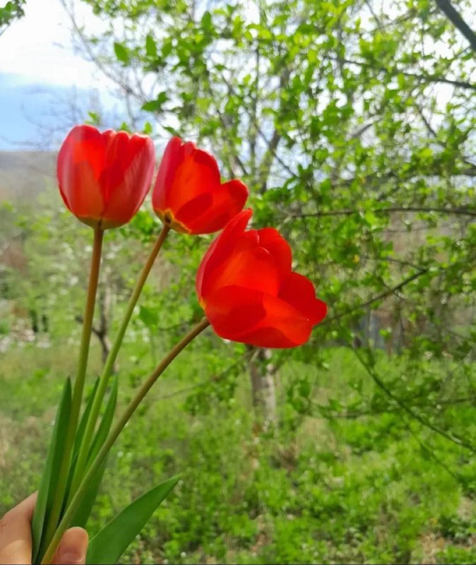 دڵێڪ تەسلیمی “خودا”