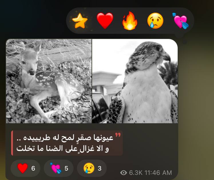 شاساا صويلحَ٩٩ِْ. 💛 📮