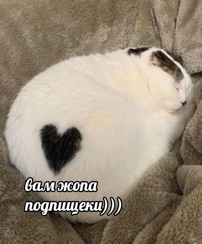 Шаурменевры