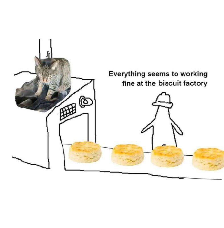 Шаурменевры