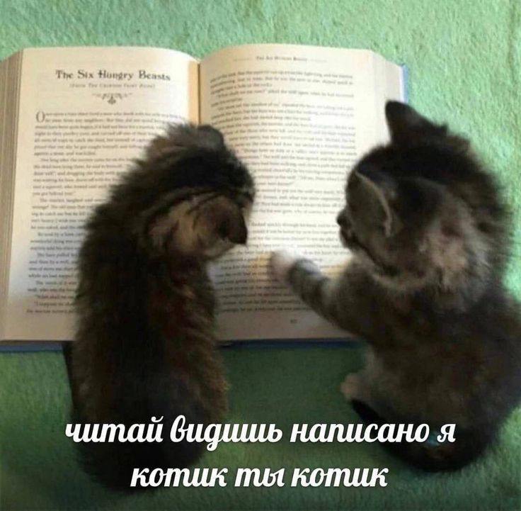 Шаурменевры