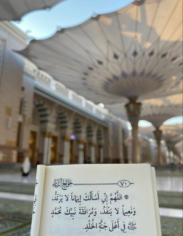 هاكَ رسولَ اللّه مُضغةً بين جنبيّ..