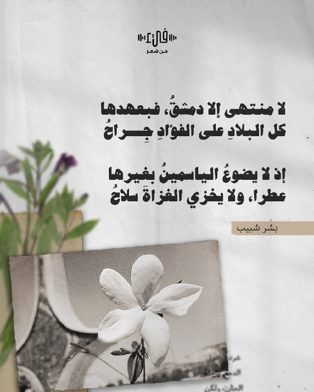 شبابيـك