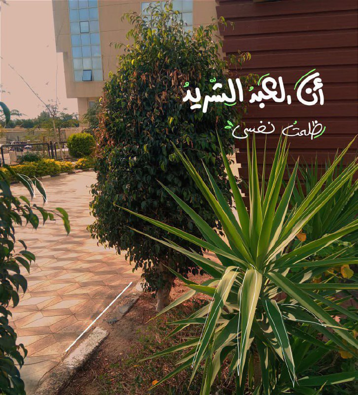 **أنا العبدُ الشّريدُ ظَلمتُ نفسِي**.