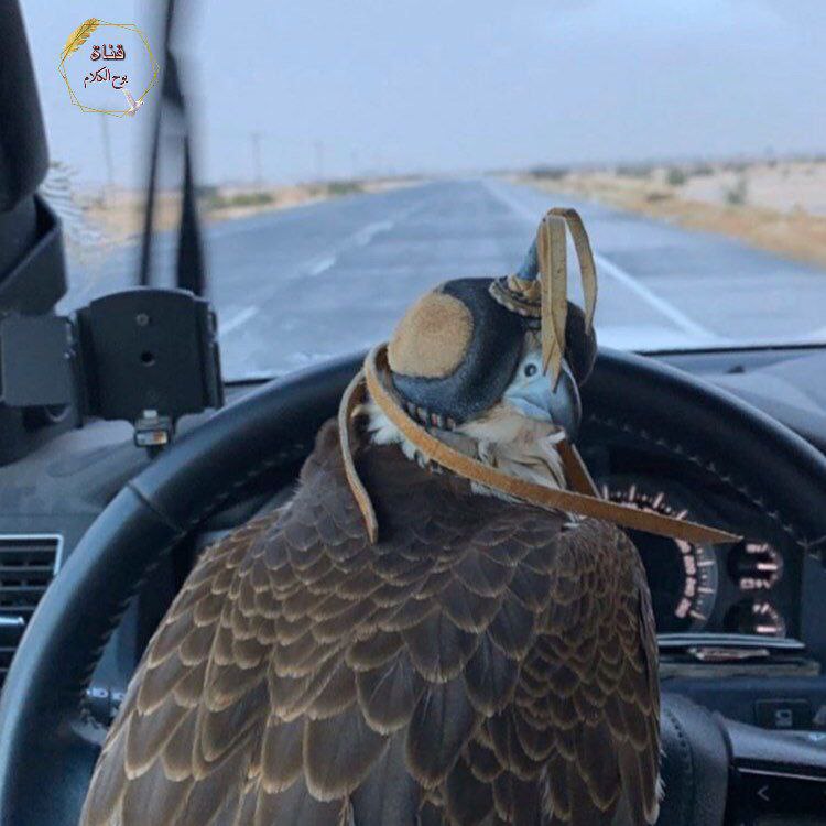‏الناس .. لا تحكم عليهم بـ …