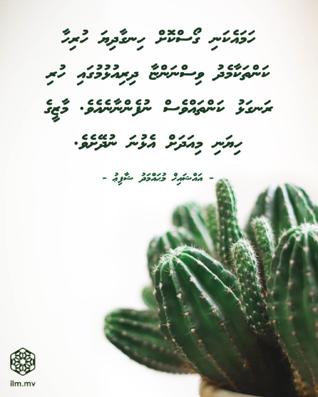 މާޒީގައި ކަމެއް ގޯސްކޮށް ހިނގާފައި އޮތުމަކީ އެކަމާމެދު …