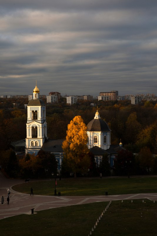 Щёлоков Дмитрий