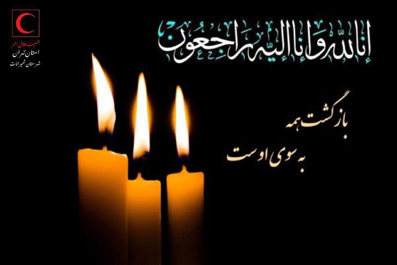 جناب آقایان معین و متین رضایی …