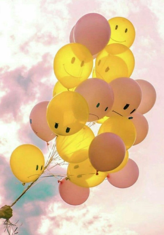 *****🍃******🌸***