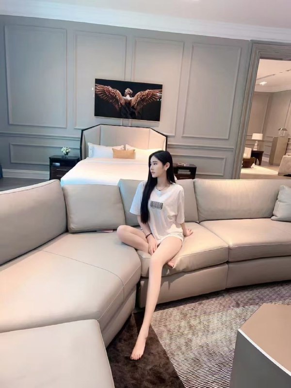 福田176车模