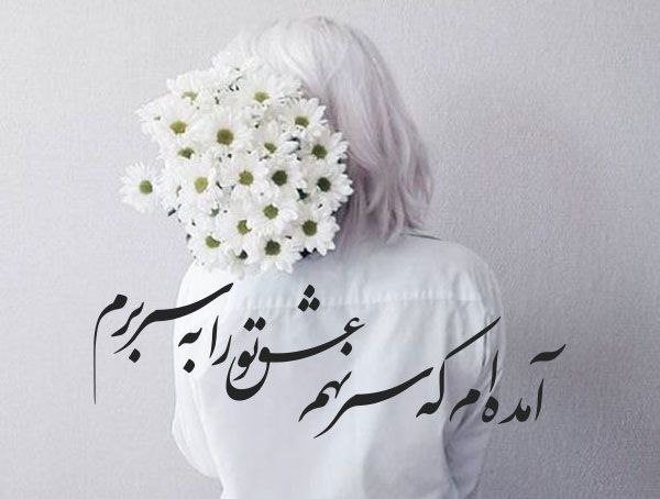 آمده ام که سر نهم عشق …