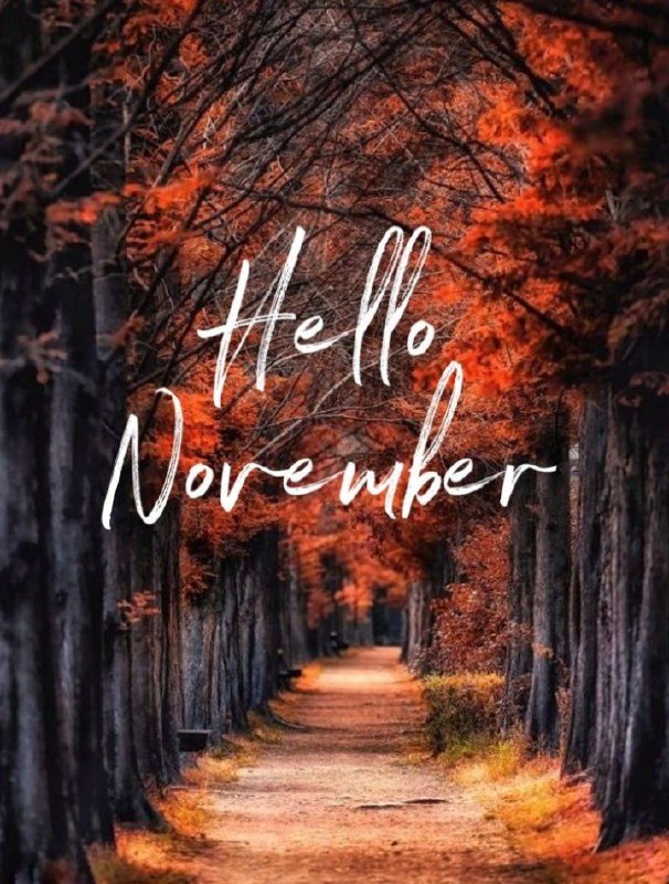 ***🍁******🍁******🍂******🍂******🍁******🍁******🍂******🍂***