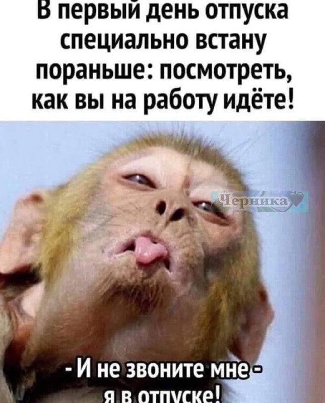 [***👉🏻***Черника***🖤*** Подписаться](https://t.me/shernika_iumor)