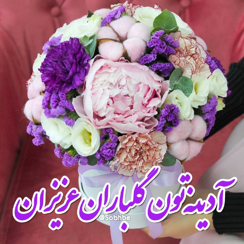 **دوس**تان***?***