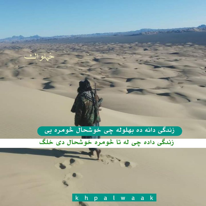 زموږ لینک درسره نشرکړی