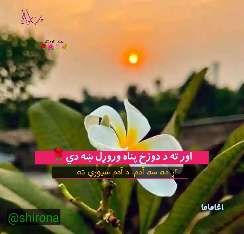 زموږ لینک درسره نشرکړی