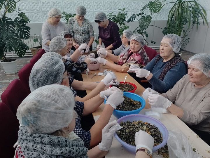 Шешминская новь