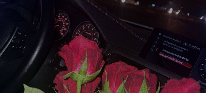 ئەمەوێ بۆ کۆتا جار بۆنی تۆ …
