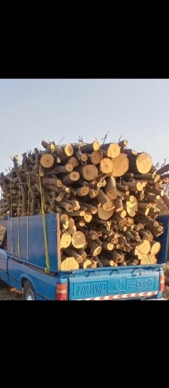 شیپور اشنویه