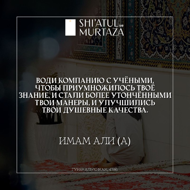 Shi'atul Murtaza