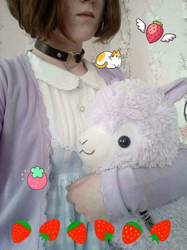 Будка Шибы-тян🐾