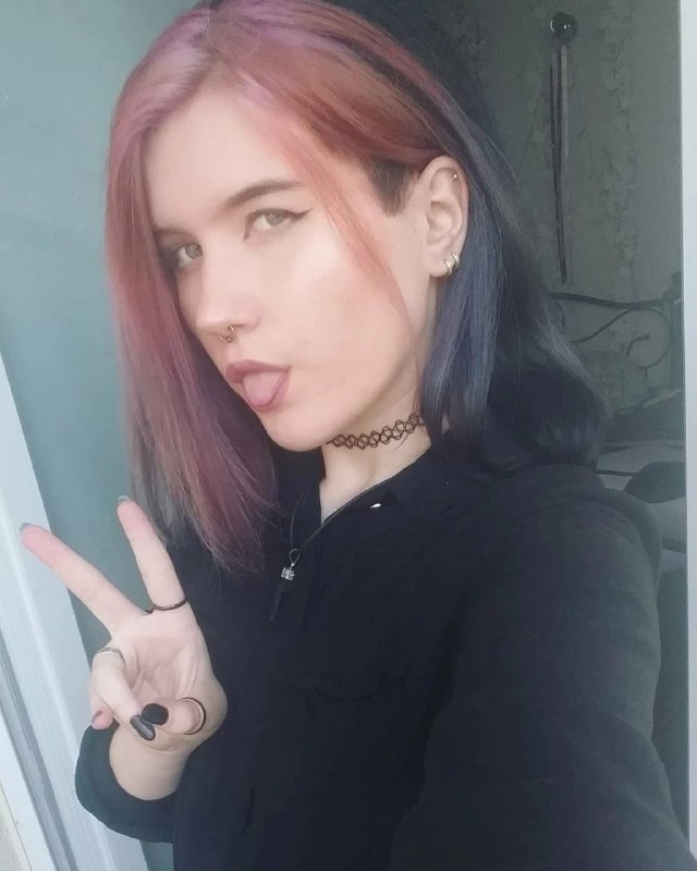 Будка Шибы-тян🐾