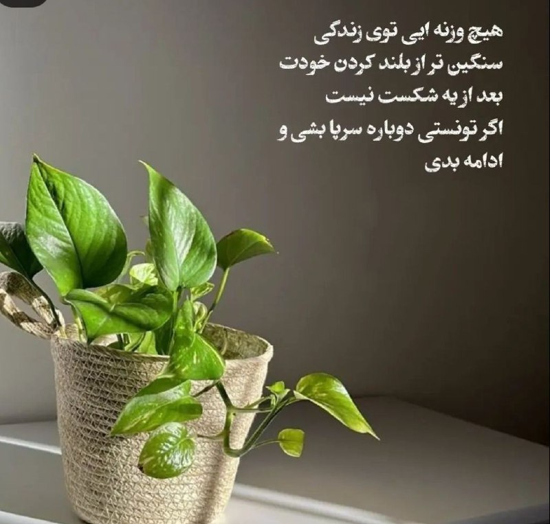 گاهی باید شکست بخوری تا یادگیری …