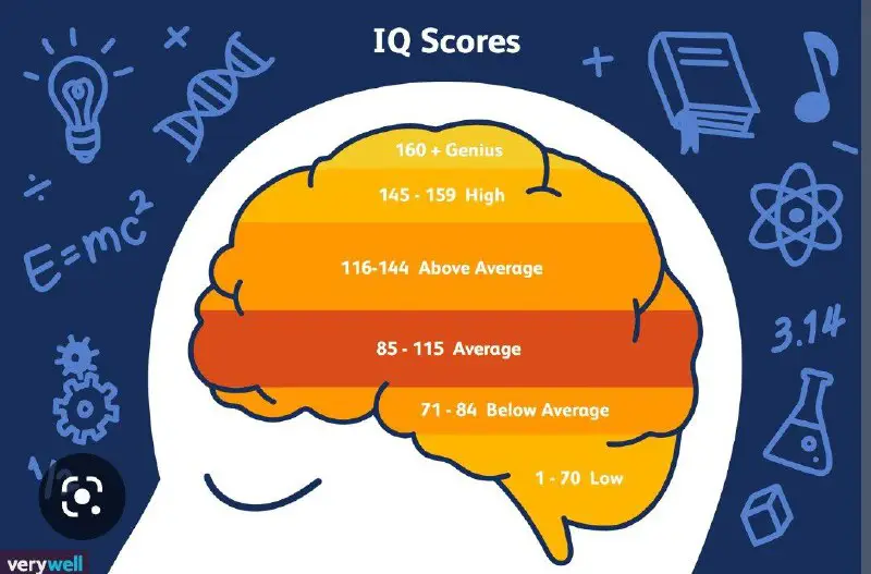 ***?***متوسط IQ جامعه ایرانی بین ۸۰ …