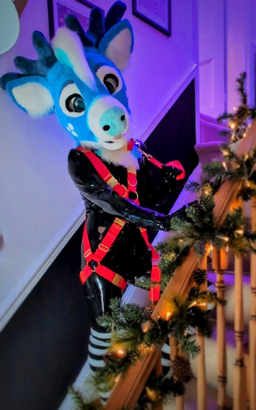 Channel: [@RubberFursIRL](https://t.me/RubberFursIRL)