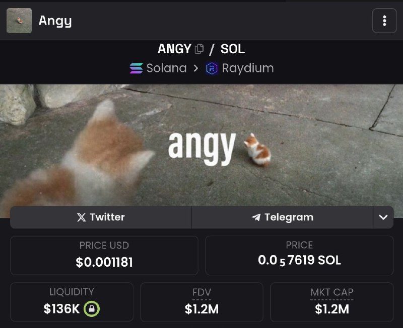 ANGY | $ANGY [#SOL](?q=%23SOL) ***🪙***