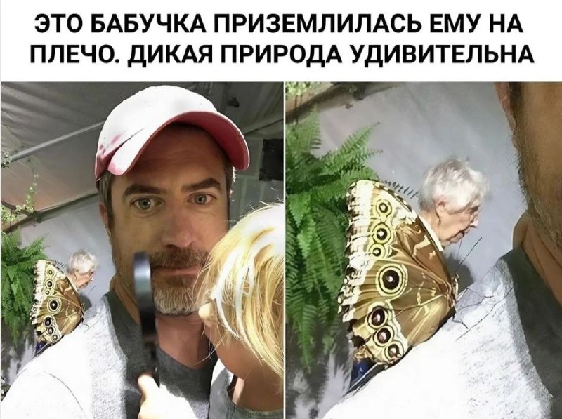 Щитпостинг