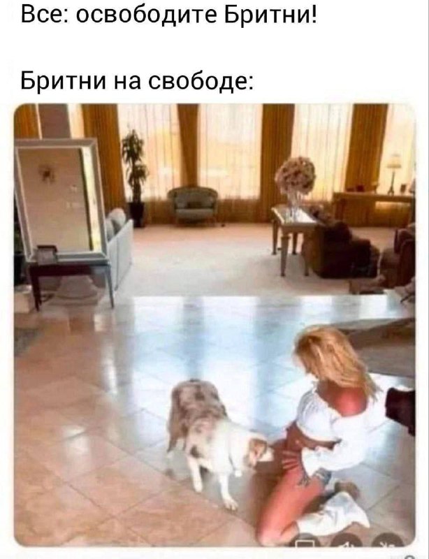 Щитпостинг