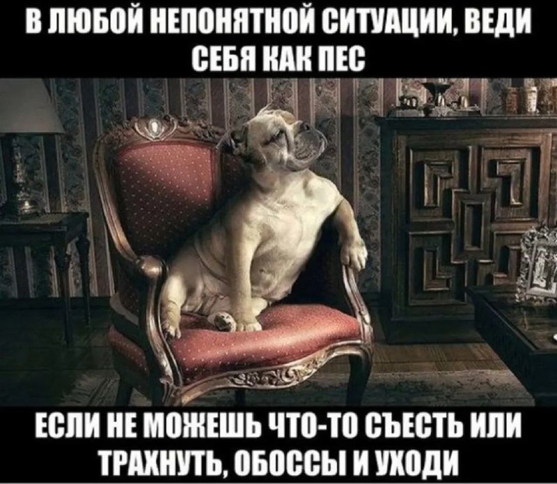 димон :O